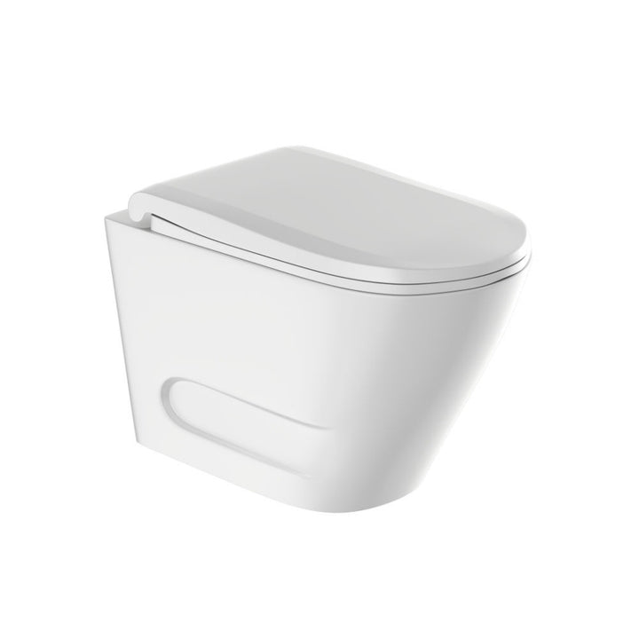 JAGUAR RIMLESS WALL HUNG WC OPAL OPS-WHM-15953BIUFPM- WHITE MATT