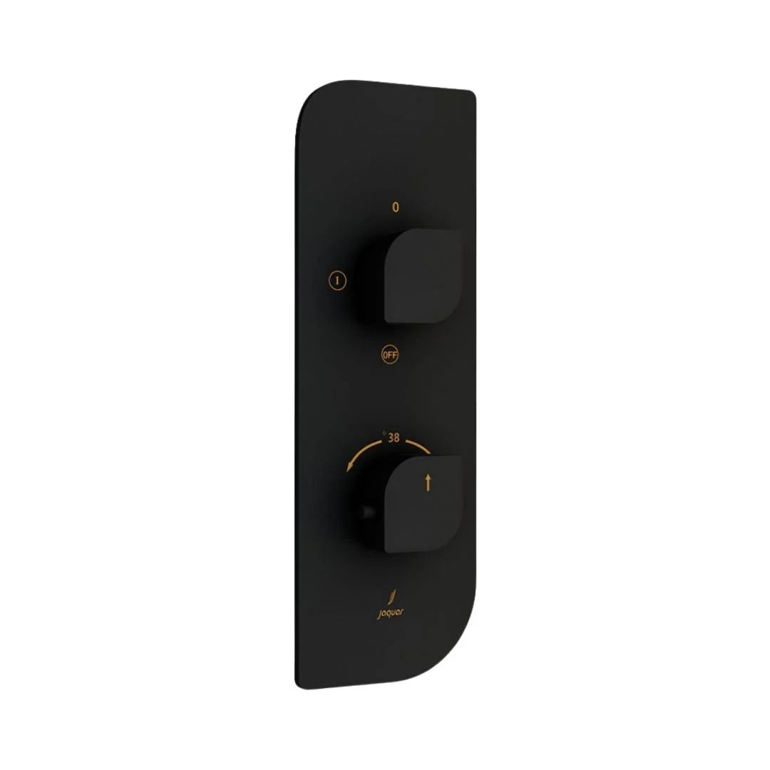 Jaquar 2 Way Thermostatic Diverter Alive ALI-BLM-85681 Normal Flow - Black Matt Finish